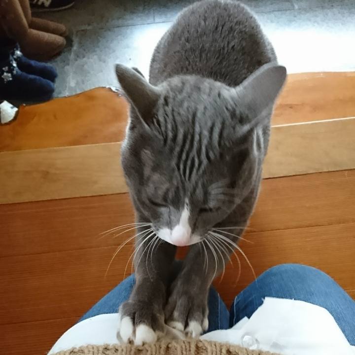 F8a0a5a2 2019 4497 b8c9 8b7acf7fe4b5