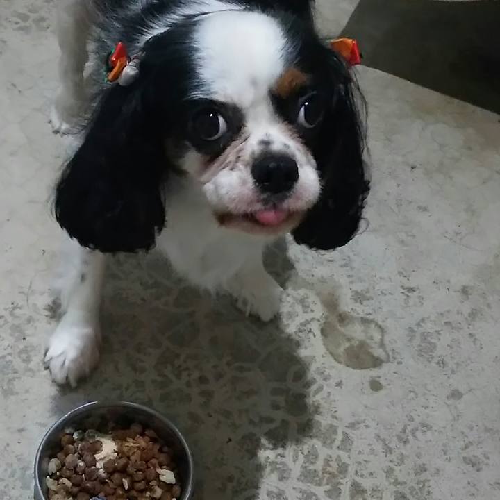 F8a111c8 e332 4e2e a550 6cbb7d475d16