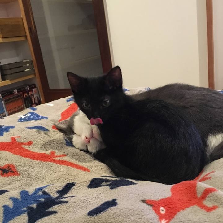 F8a11527 36a6 4f9e 8746 138c402d10a8