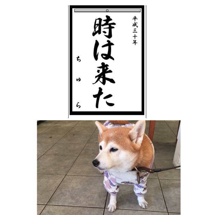 F8a1498b 7c53 4d70 97ad ca765d7082cb