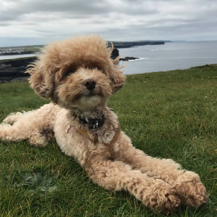 F8a1aa6f 59c0 4ebb 80df 3f8d88c110b5