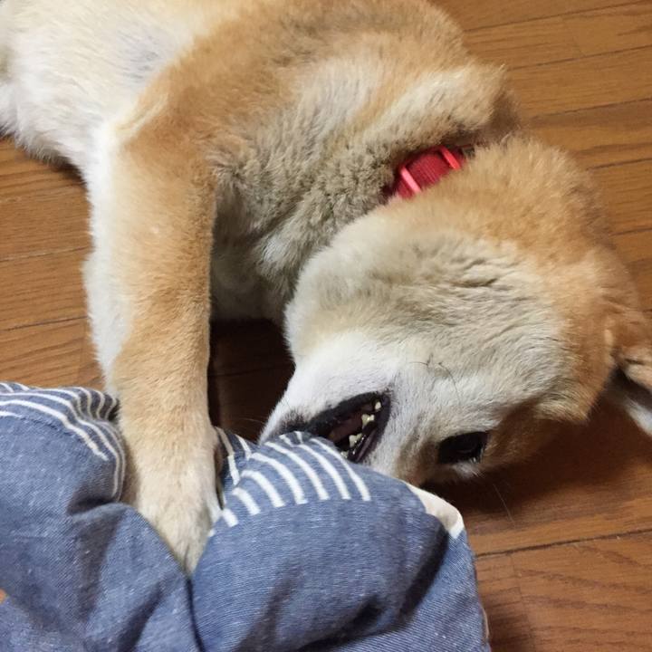 F8a21b74 dea1 4e40 a3af d79f52996216