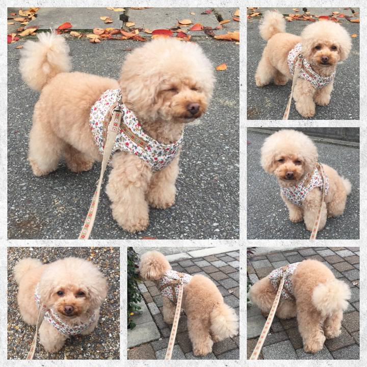 F8a226a8 2731 4a40 a3ae a5c44e70b04a