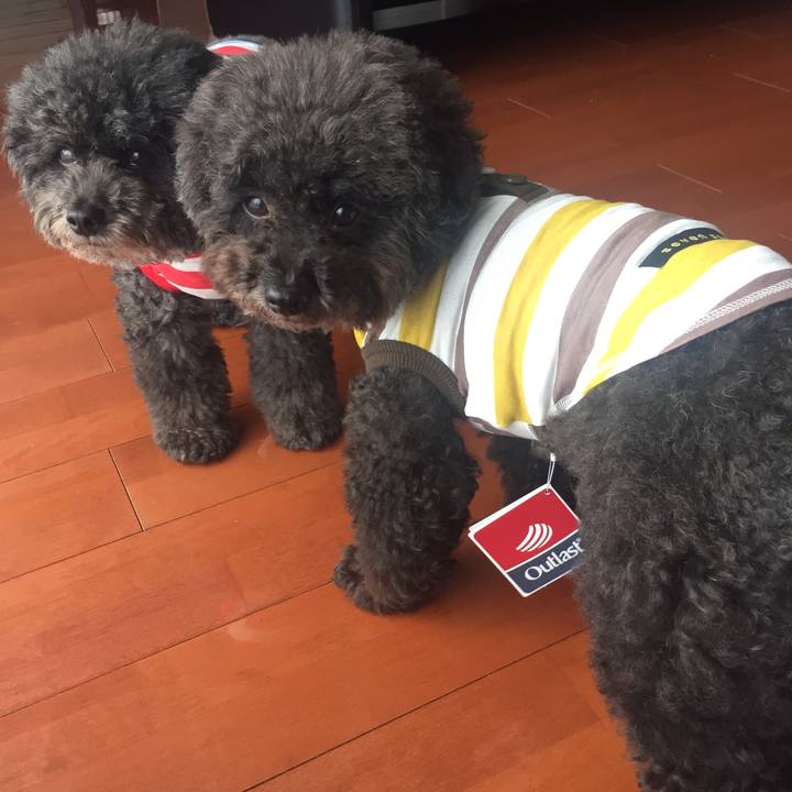 F8a274c5 9628 4d42 abb3 c54b6e6d255d