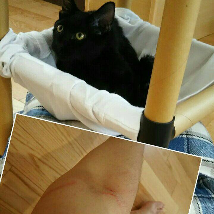 F8a31912 ff71 4fc0 a54f 1d0fe0d43d6d