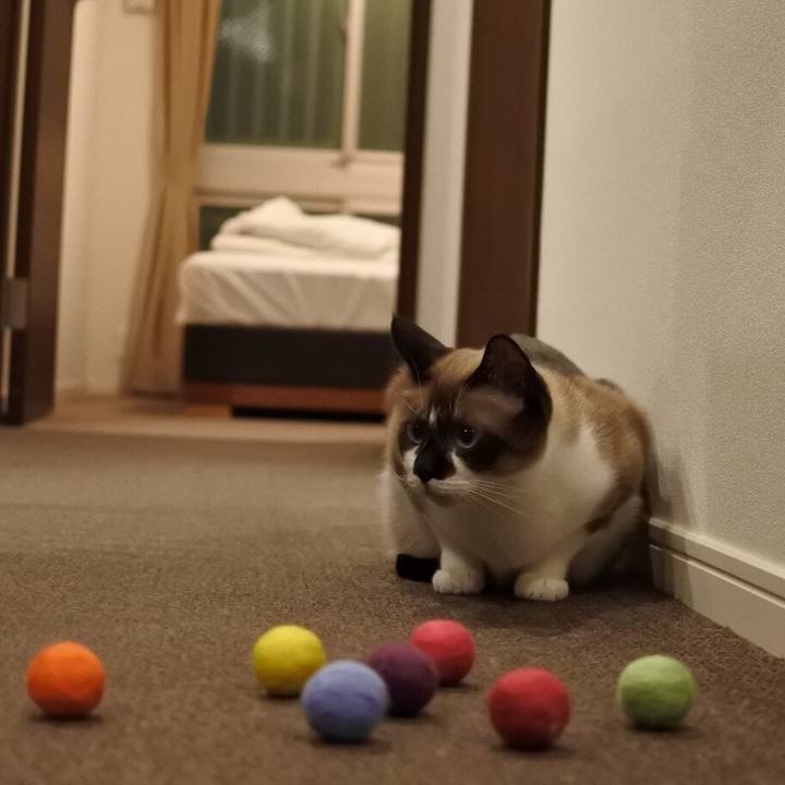 F8a340fd 0226 4b12 9ce4 2b5a3f677113