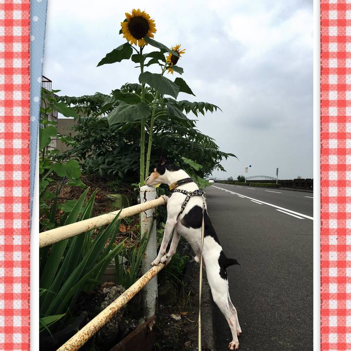 F8a34221 d0f2 471d 8e6c d9642db7c421