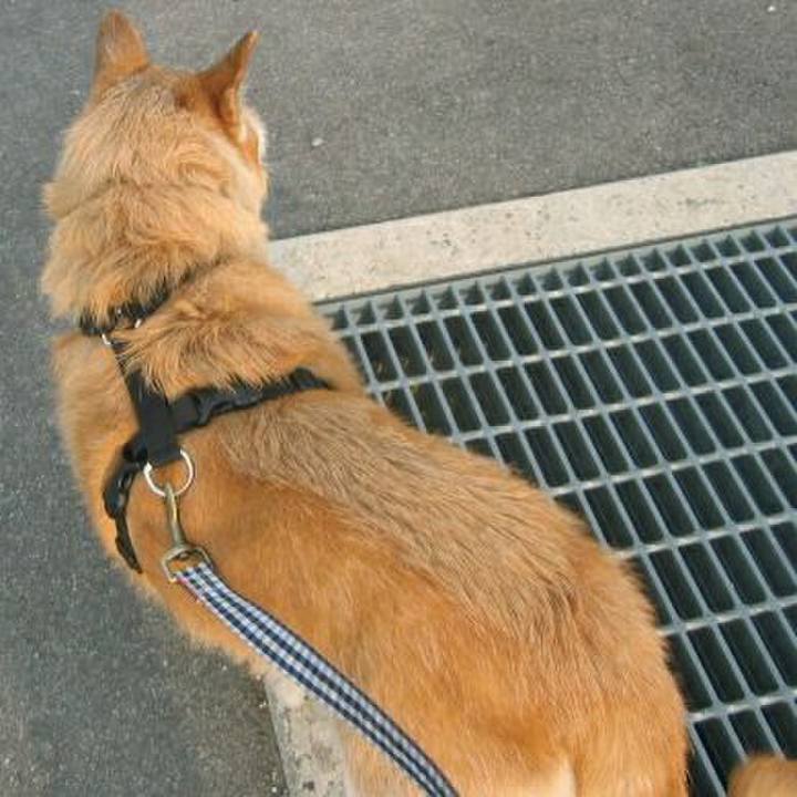 F8a35a44 c103 4d00 ae88 d46205628932