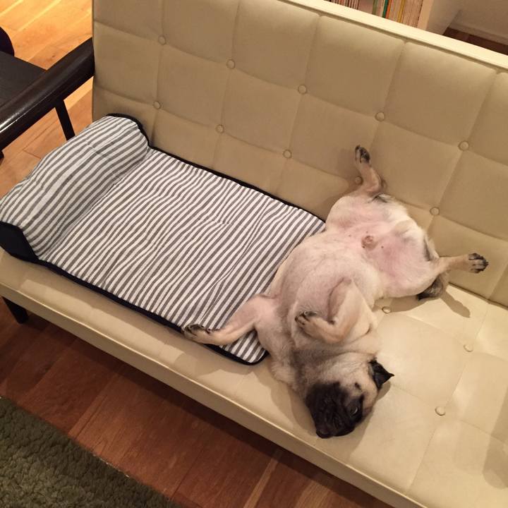 F8a36963 cf68 4df4 9c7e d1552e85f2c3