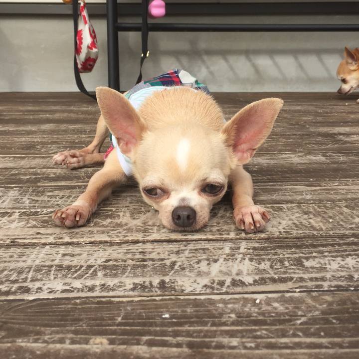 F8a378f5 c6b5 4959 b5e4 7e060b58e6f3