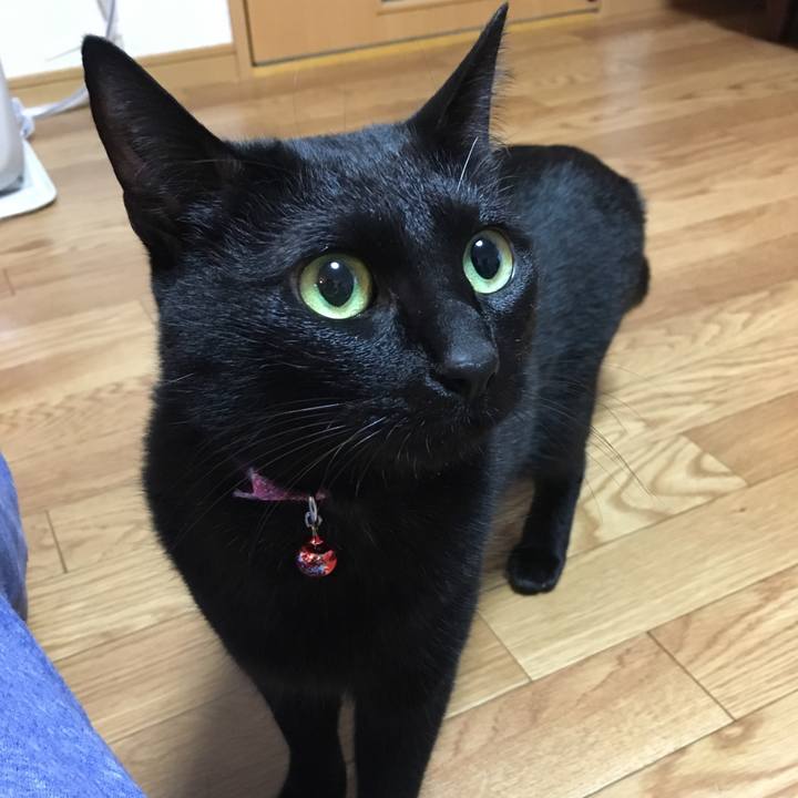 F8a463af 2b00 4f2c 8ec4 492af0d0916c