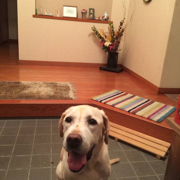 F8a53576 fc2f 401a 8db8 f4118f74a795