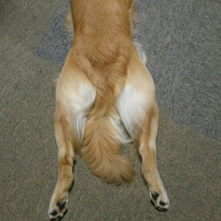 F8a54cd5 760f 42e4 aa80 f386f03ffe71