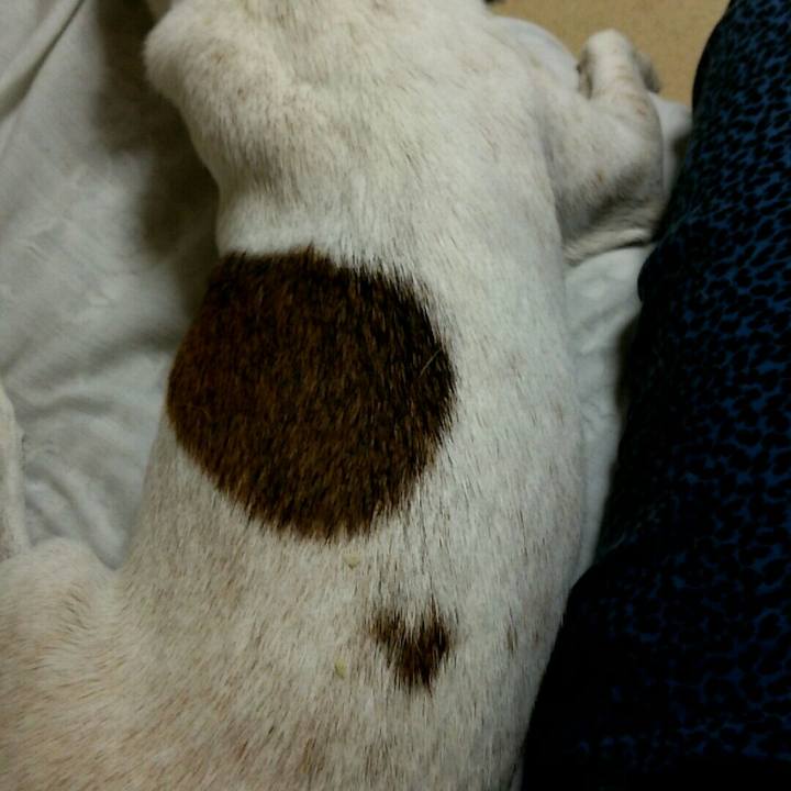 F8a5b5af c4f6 432f 8619 30060c6dcbb4