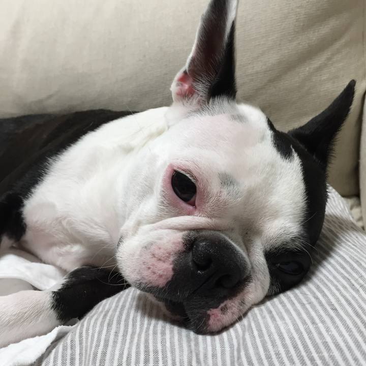 F8a6fab8 82cd 4541 bb96 b712753a00bc