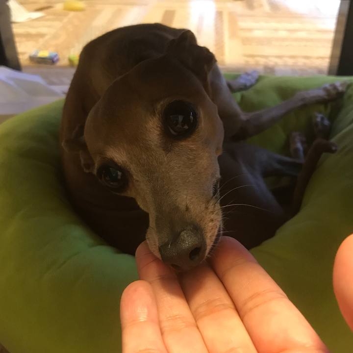 F8a915cc b069 41e6 8a42 9866252086c3