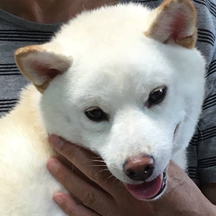 F8a91c25 a9d9 428b 944c d69c5121e43d