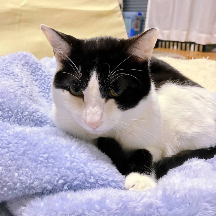 F8a96f41 0125 4d1f a08d f930a30bb3f4