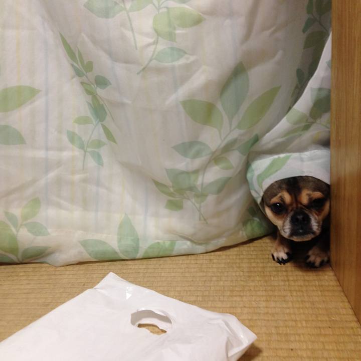 F8a97579 b3d9 47a3 8c7a 67ed324241af