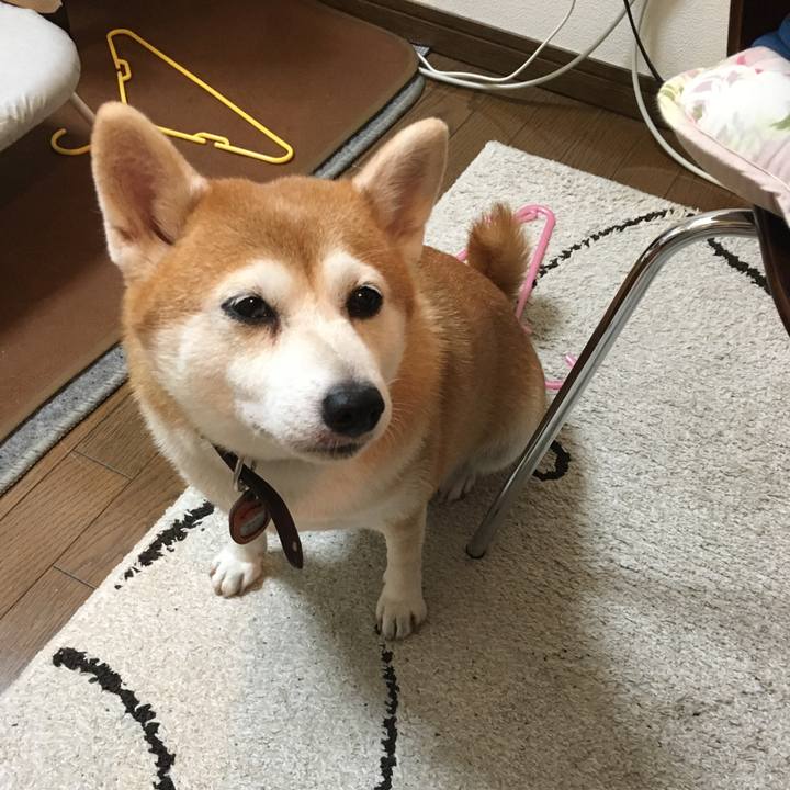 F8a9a673 3a6f 446e b797 ed5848697794