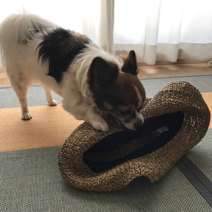 F8aa33d7 31dd 4c5d 8042 3877f4adba31