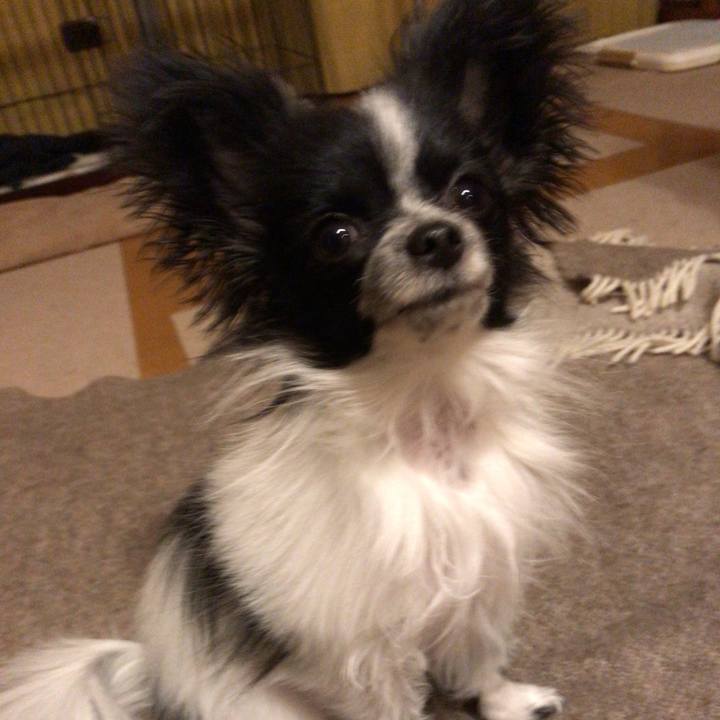 F8aa3fe3 5cf6 4236 b2d1 b5bbbb3f41c7