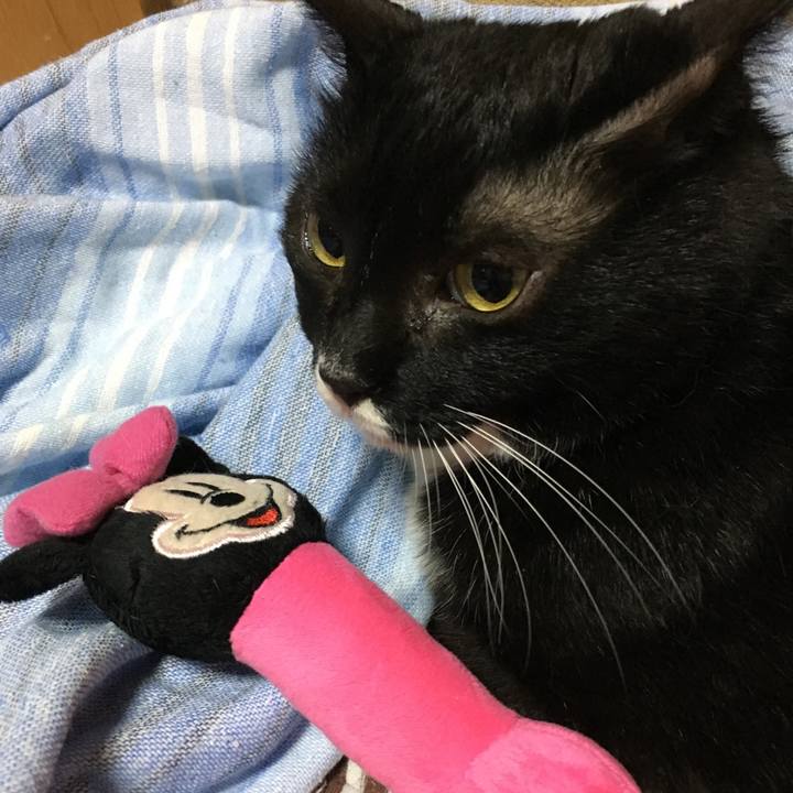 F8aaeb08 9a3d 41c0 ab15 92c7dd0912ff