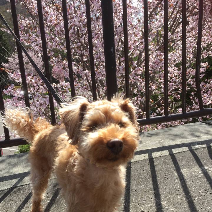 F8ab3af5 2f90 49cb ba77 35ac48bdba59