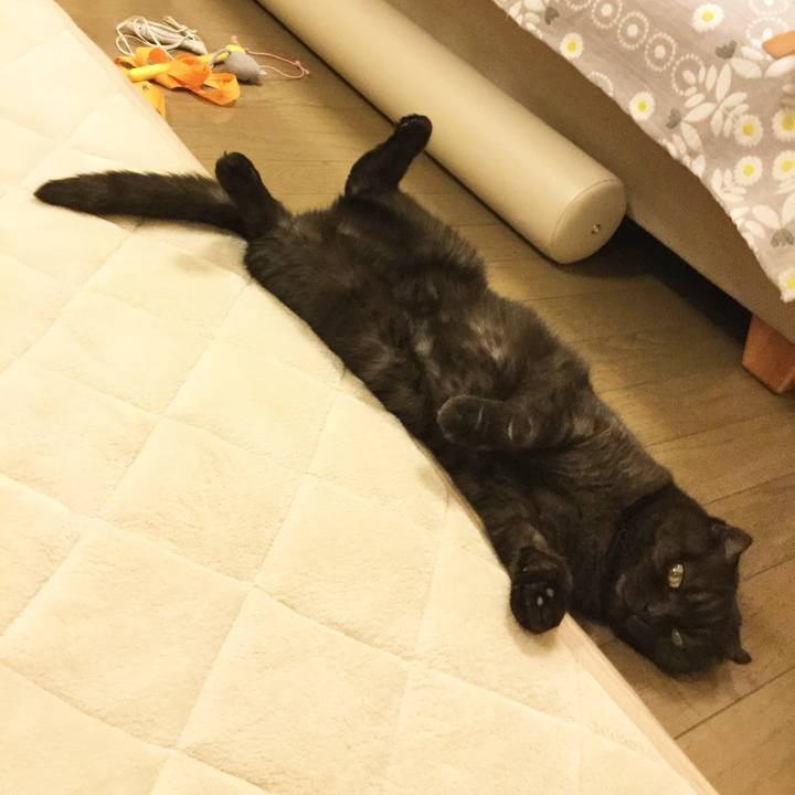 F8ab5dd7 81e8 4336 893b 7c5079ad715d