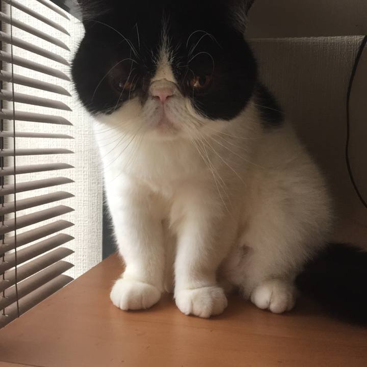 F8ab9dc1 4c2c 44b5 97eb 8fca7cd29ae7