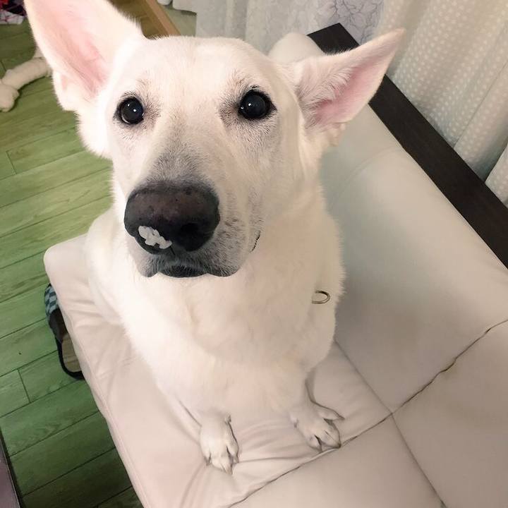 F8abea87 410d 4358 b414 256e533a18c7