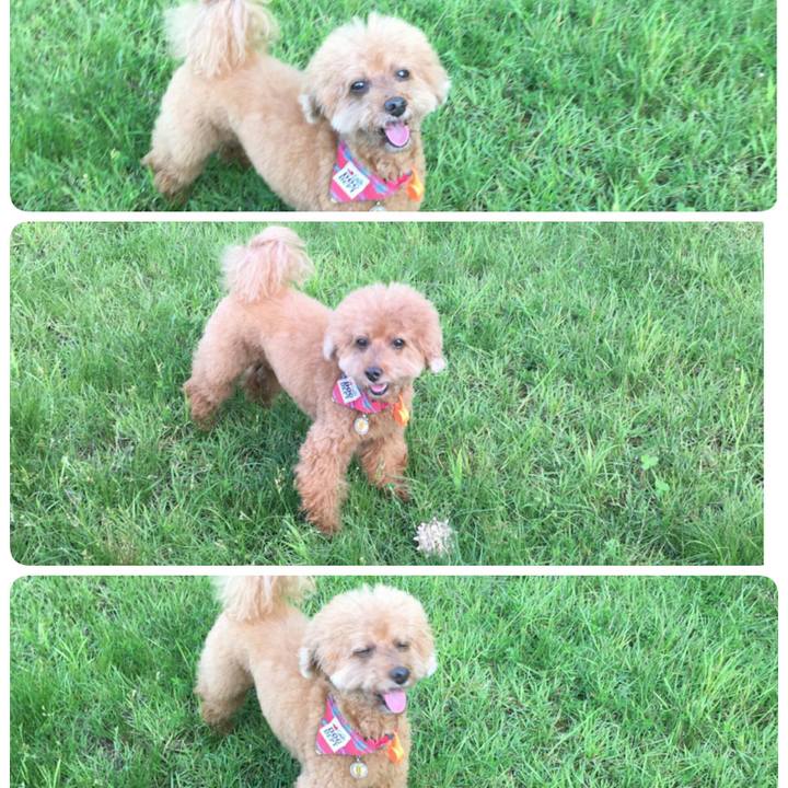 F8ac0a25 3dd3 4b83 a61b 20e553927f28