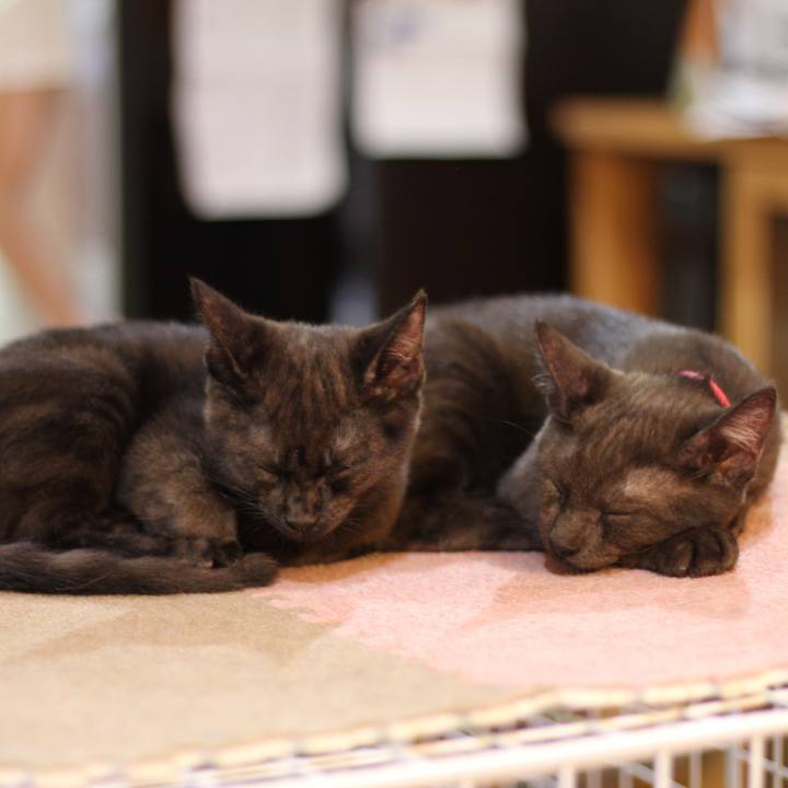 F8ac3bbf 0ba1 415d 93fa cfcc403ea6cd