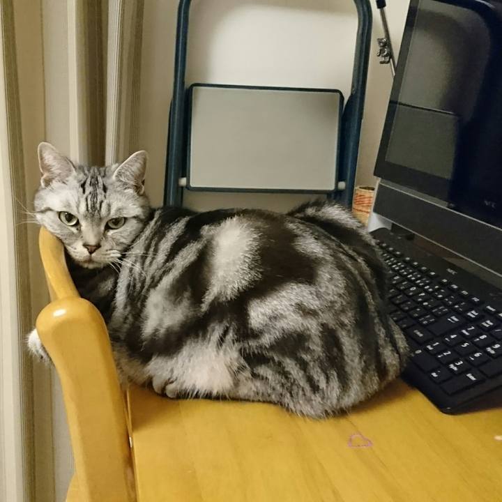 F8ad3578 349a 4e95 b1c8 12a4994b0418