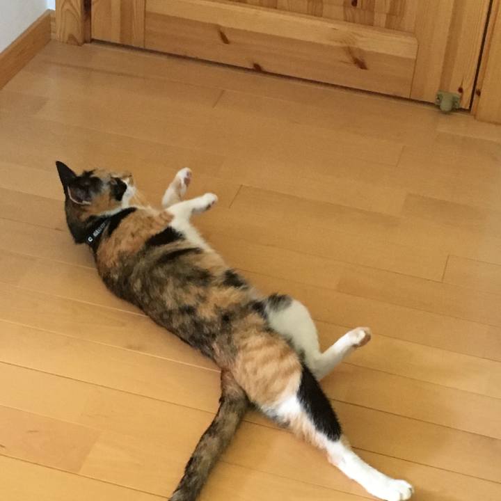 F8ad3765 39b8 4042 97c6 d691ecd43d5a