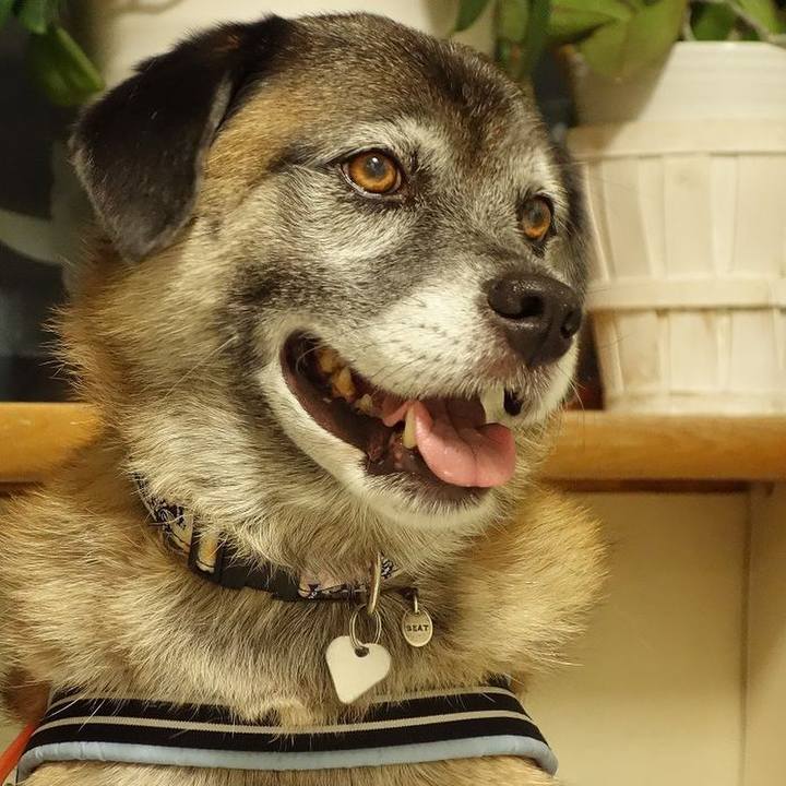 F8ad51ac 8f71 410a 8e3c 013631697411