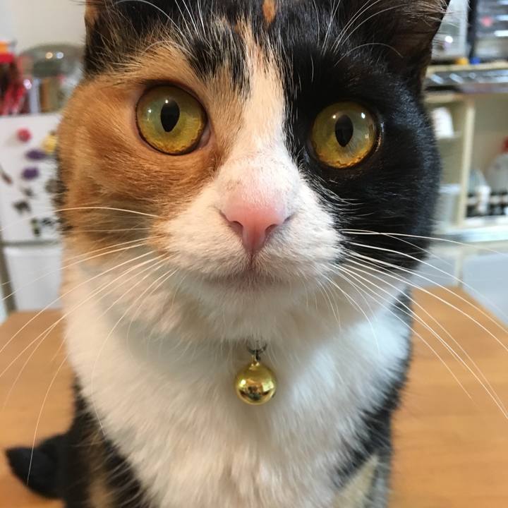 F8ad820d 46f4 4c16 89e5 e772be81a367