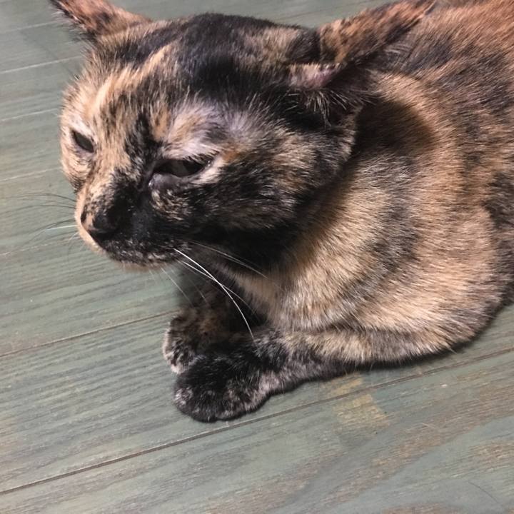 F8ae60dc a7c8 453d b877 3b1e351575a9