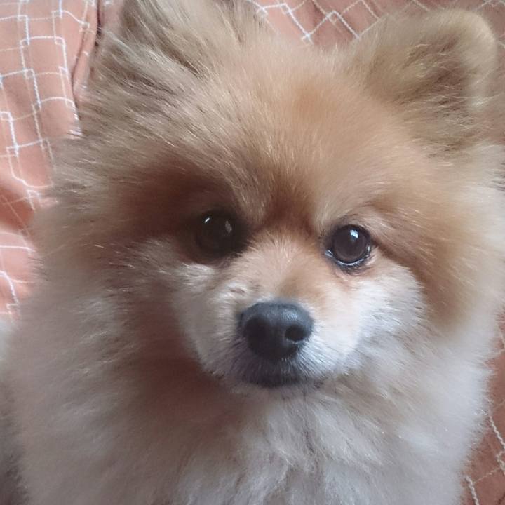 F8af2aec c645 4f70 a691 60aa39d3b8fb