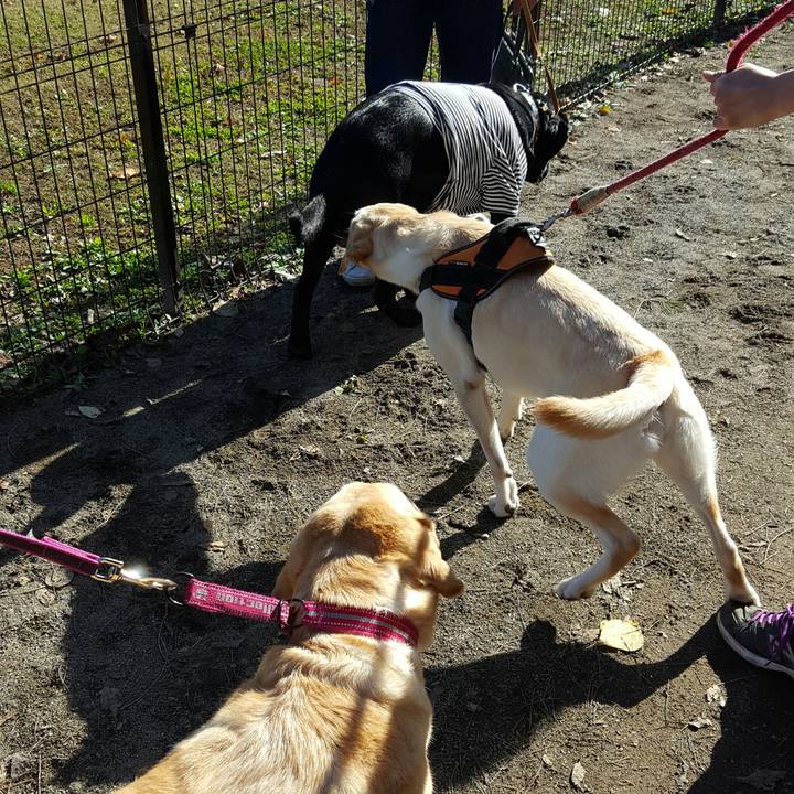 F8afddf4 0921 45ac 9956 b849e128ee16