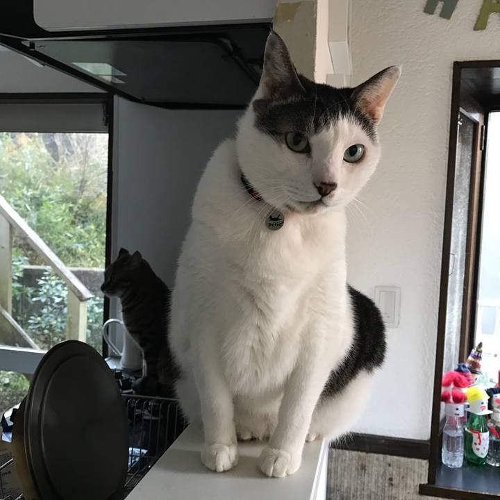 F8b03bef 916b 4f1b afef a06236e23dfa