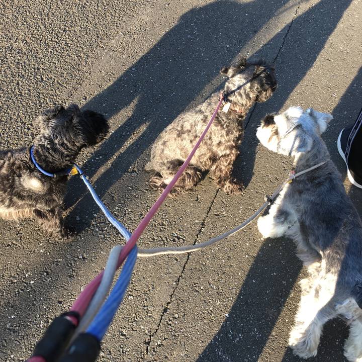 F8b0a2fe 98be 4107 99fc 2f4b685fc86d