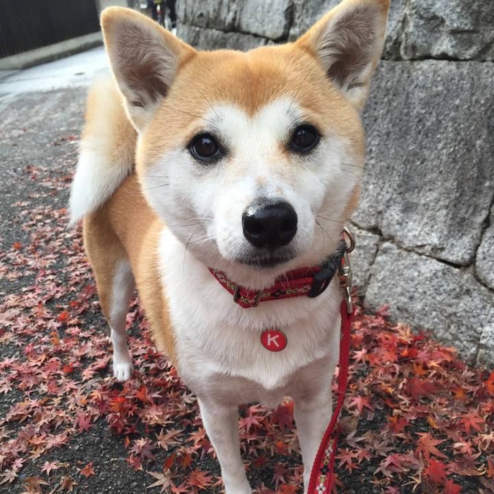 F8b13942 e347 4248 bbf4 b7dac2f16f78