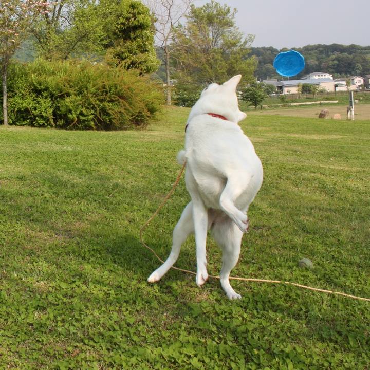 F8b1b63f 24d9 4bb8 86d2 b2bd5b2e3513