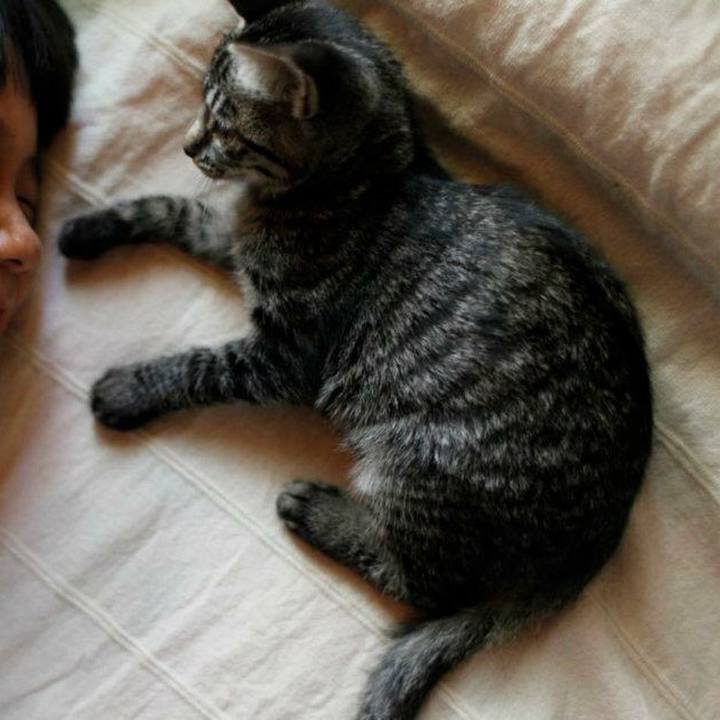 F8b1dda4 3dca 4e99 9443 987b1d665afd