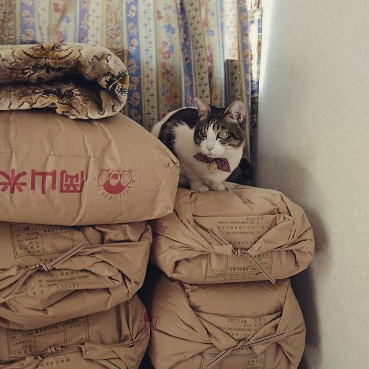 F8b1f9dc e6ee 434c 91fe c322730a1e45