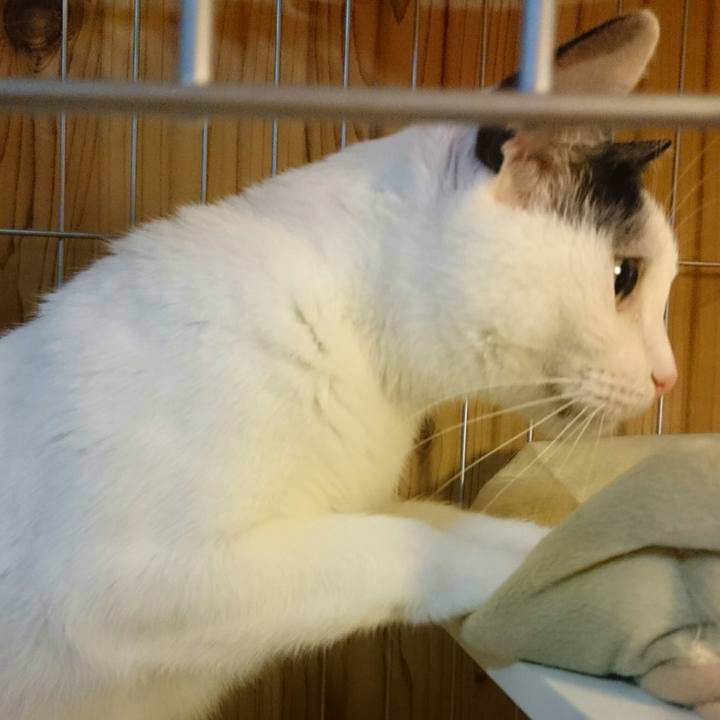 F8b2008f 13a7 4d45 a1cc fffe674c5908