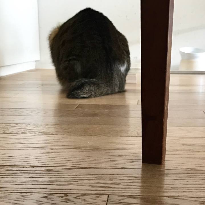 F8b26b18 b462 4e31 a903 e34c38c0e5bb