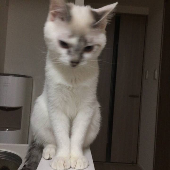 F8b2708d 888d 4eed ba70 c27a0f3d621e