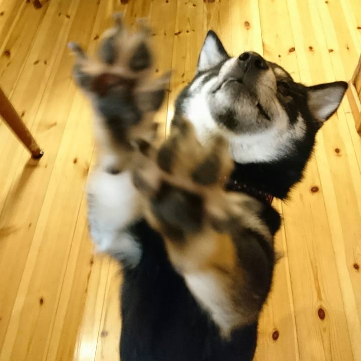 F8b2c36a 21c3 4b84 9418 44fc8585f40d